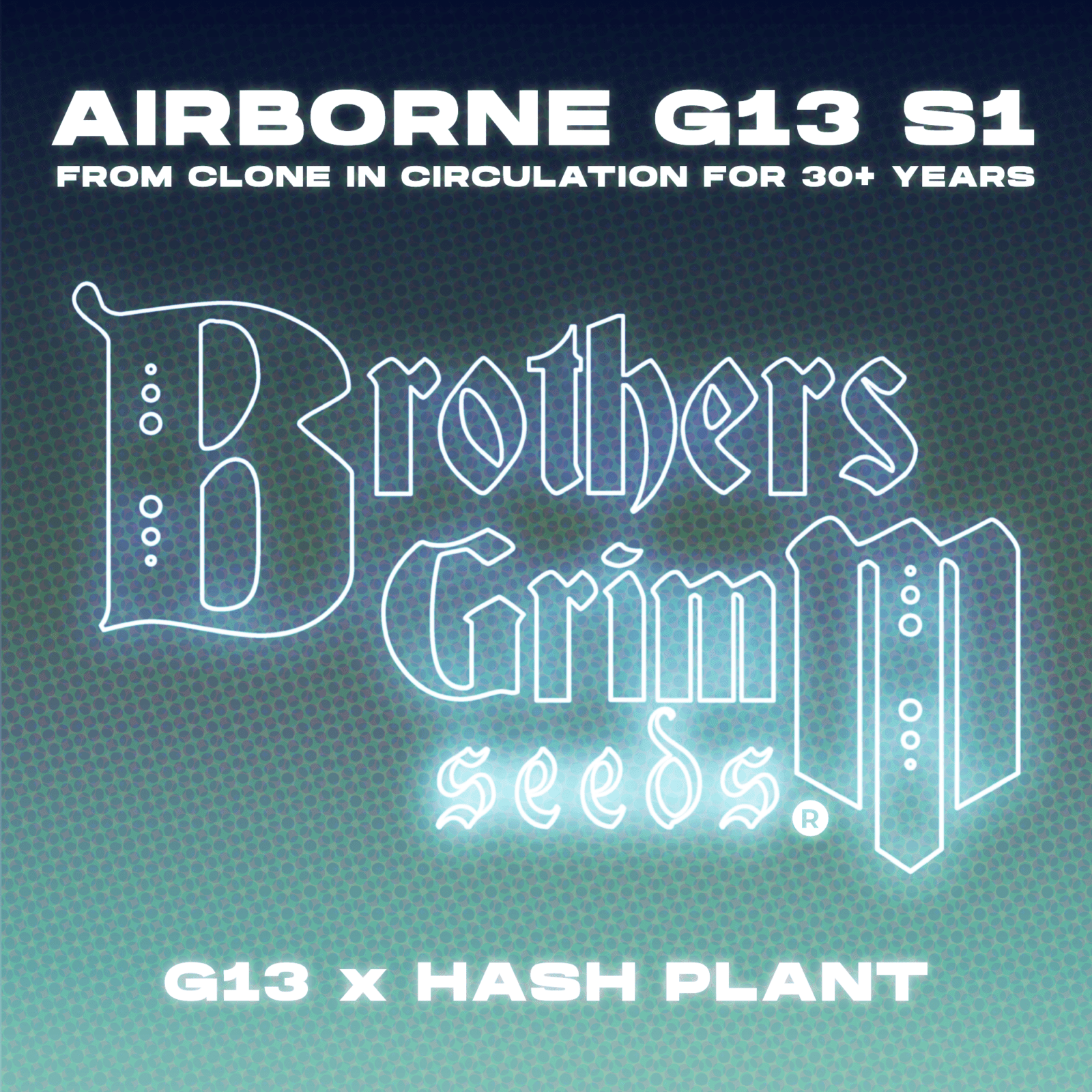 Airborne G13 Grow Cup