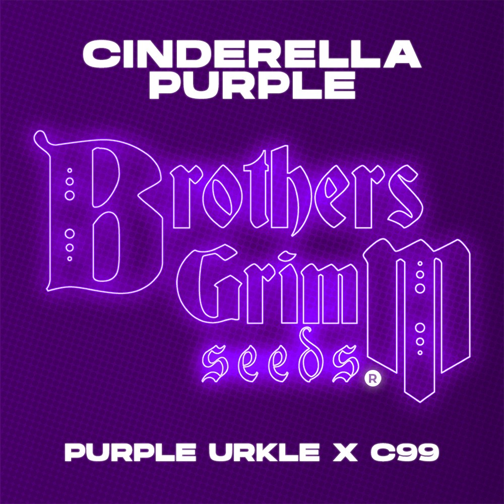 Cinderella Purple Grow Cup
