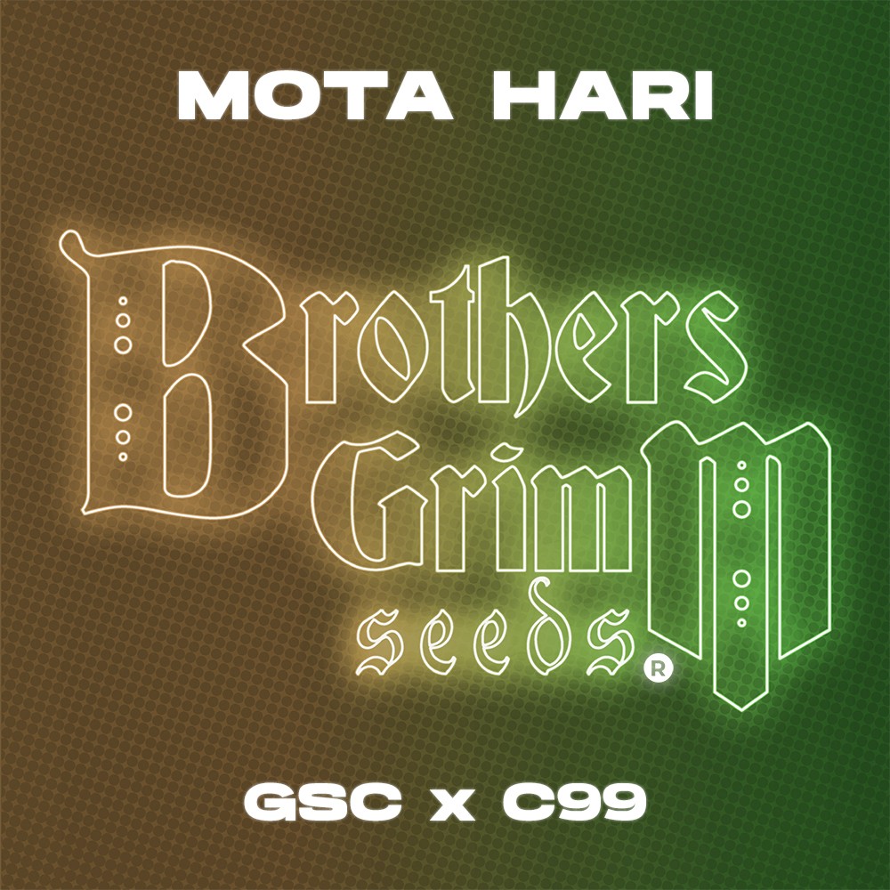 Mota Hari Grow Cup