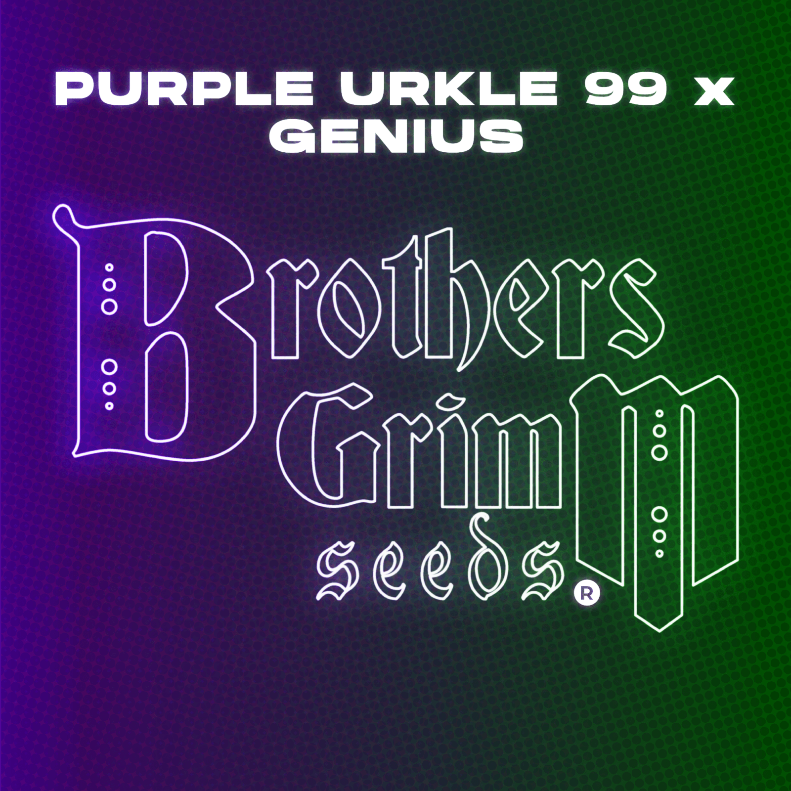 Purple Urkle x Genius Grow Cup