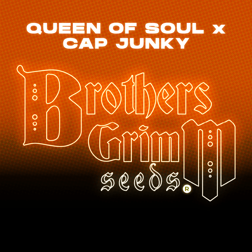 Queen of Soul x Cap Junky Grow Cup