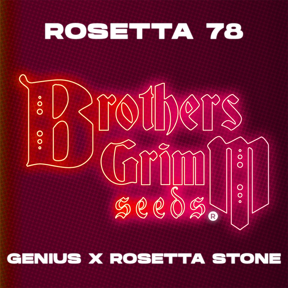 Rosetta 78 strain seeds