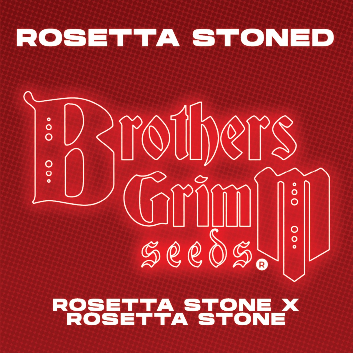 Rosetta Stoned Feminized Seeds Made in Colorado USA